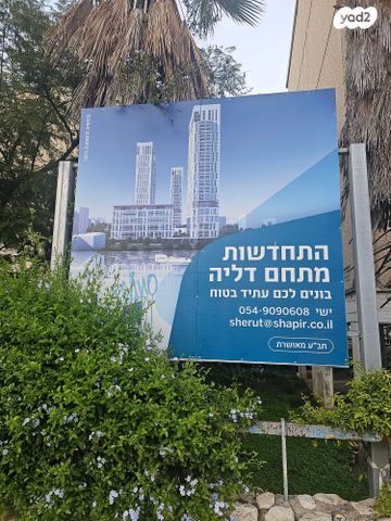 הרב מיימון 