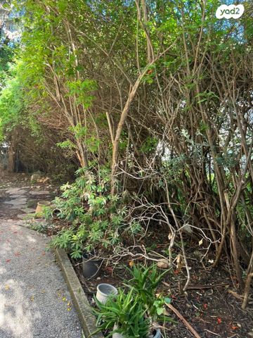 דירה, שדרות הנשיא, רמת התשבי, חיפה