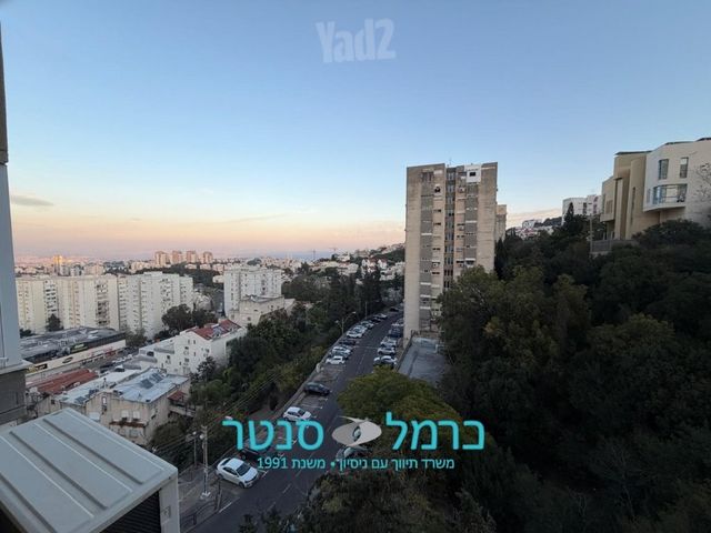 הפרחים 