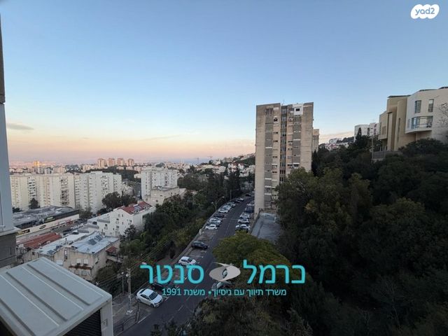 הפרחים 