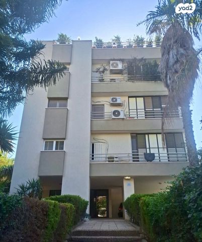 אריה לייב יפה 