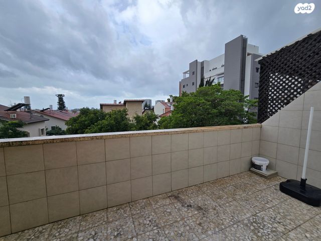 גג/ פנטהאוז, בן גוריון, נווה ישראל, הרצליה