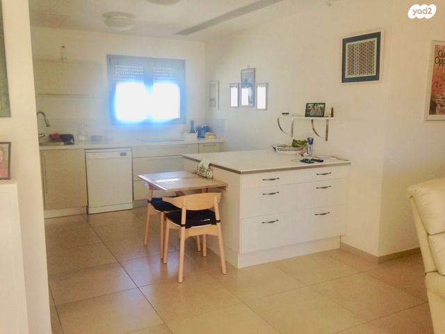 גג/ פנטהאוז, אחד העם, לסטר/רבוצקי, רעננה