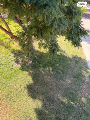 דירה, זרחיה