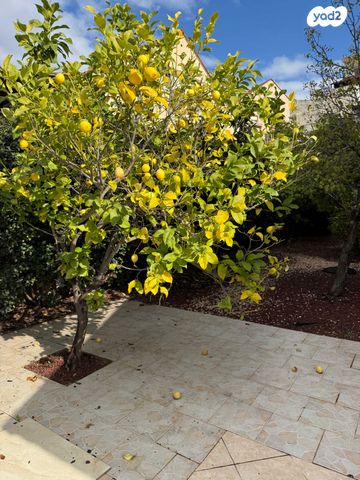 דירת גן, מירון, שגיא, כרמיאל