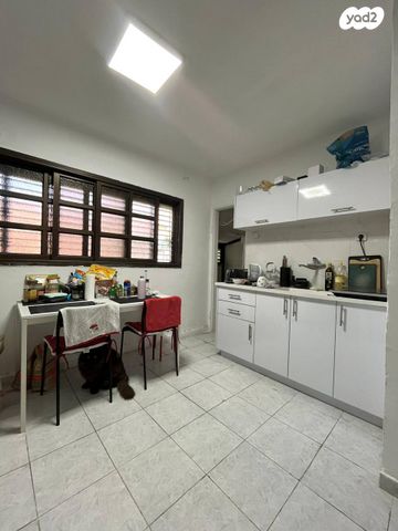 שדרות דגניה 24