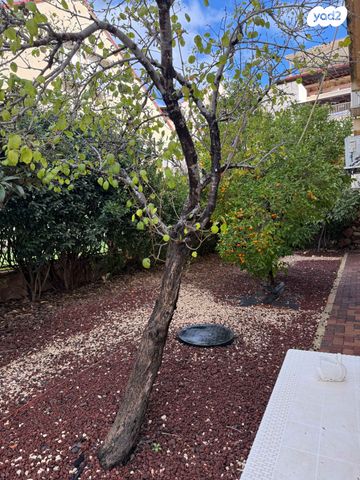 דירת גן, מירון, שגיא, כרמיאל