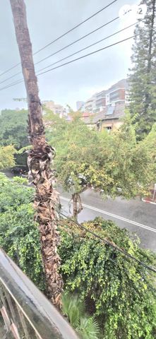 דירה, הרא"ה, שכונת הלל, רמת גן