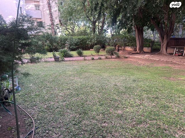 דירה, מרכז, כפר סבא