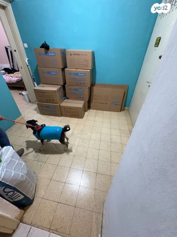 דירה, המלך כורש, תל אביב יפו