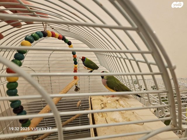 תמונת מודעה - חיות מחמד