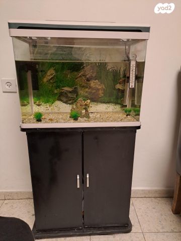 תמונת מודעה - חיות מחמד