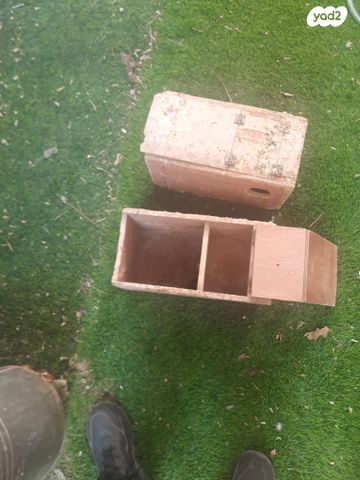 תמונת מודעה - חיות מחמד