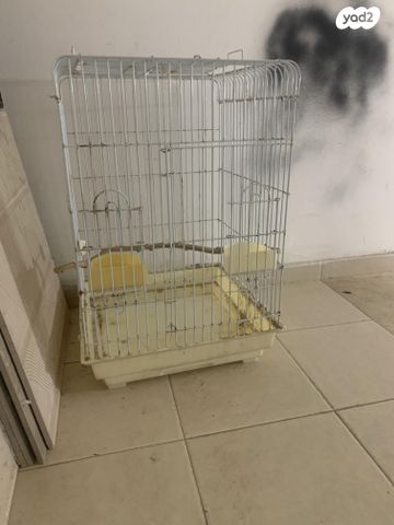 תמונת מודעה - חיות מחמד