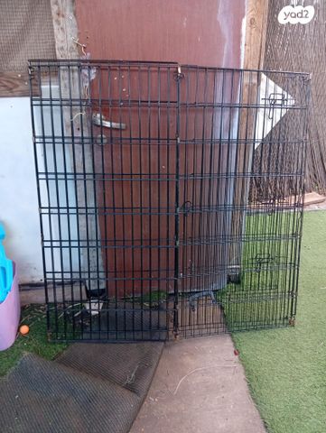 תמונת מודעה - חיות מחמד