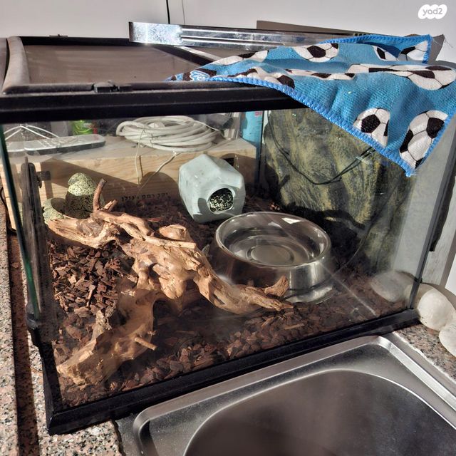 תמונת מודעה - חיות מחמד