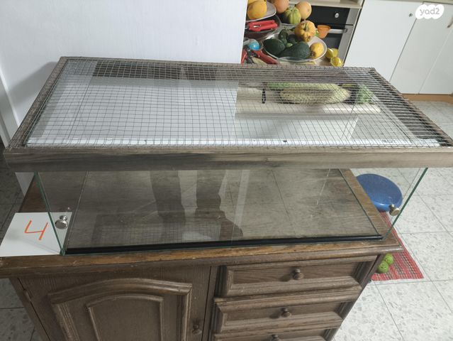 תמונת מודעה - חיות מחמד