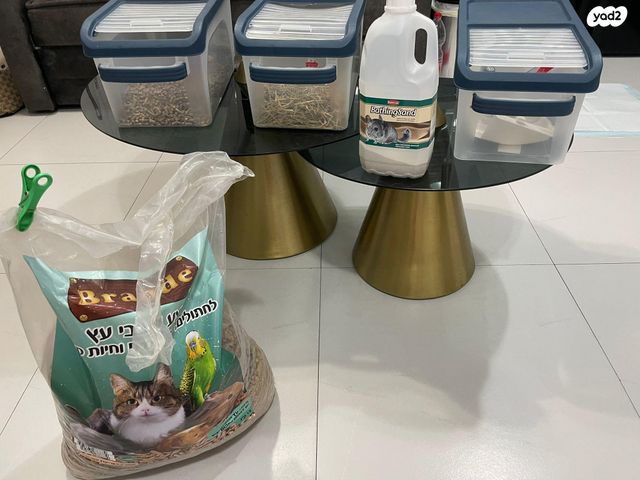 מכרסם צ'ינצ'ילה