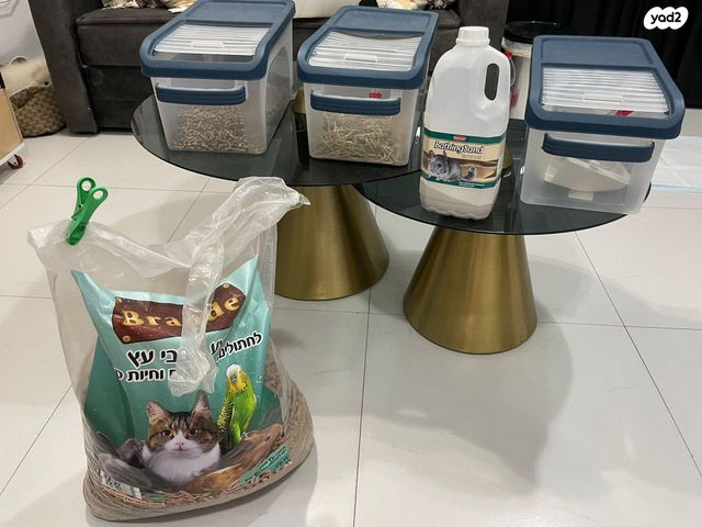 מכרסם צ'ינצ'ילה