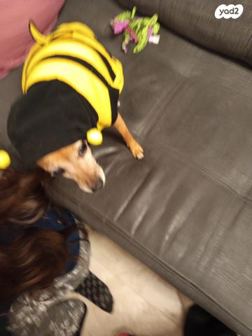 אביזרים | ביגוד