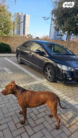 הונדה סיוויק