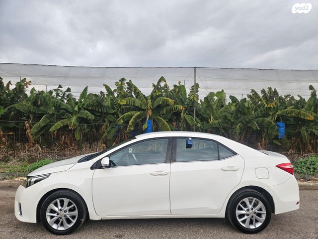 טויוטה קורולה