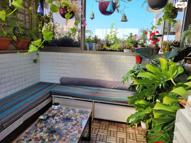 דופלקס, דוד המלך 5, רובע י"ג, אשדוד