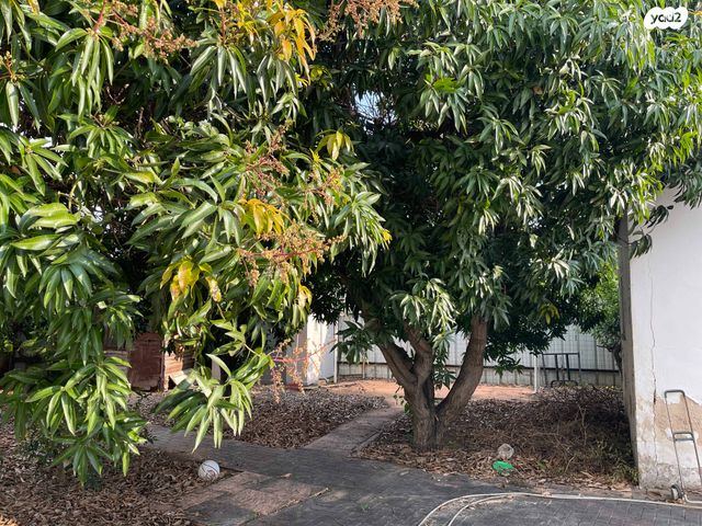 בית פרטי/ קוטג', ברל כצנלסון 45, נווה עמל, הרצליה