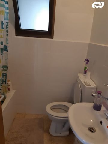 אביגדור המאירי 4