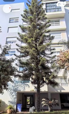 הרב מכלוף יאנה 6