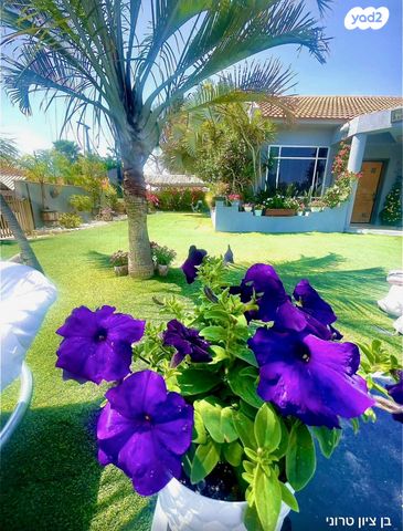 בית פרטי/ קוטג', הדקל 1, צוחר, צוחר