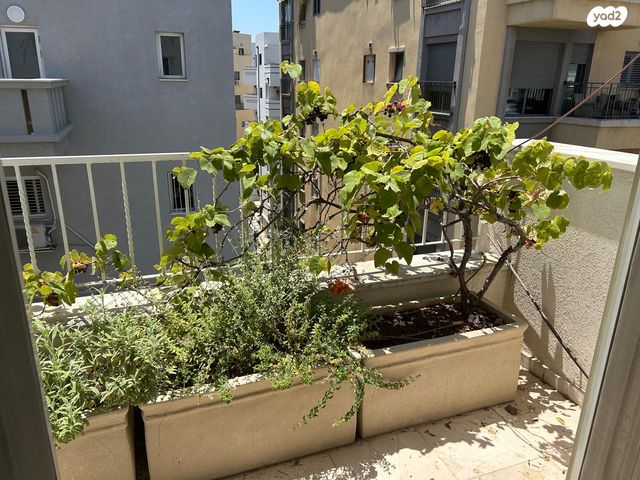 גג/ פנטהאוז, ברנר 8, לב תל אביב, לב העיר צפון, תל אביב יפו