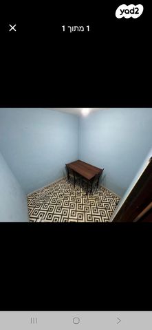 זלמן שניאור 19