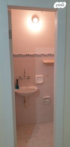 דוד וולפסון 25