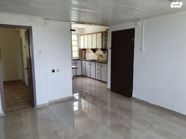 המלך שלמה 24