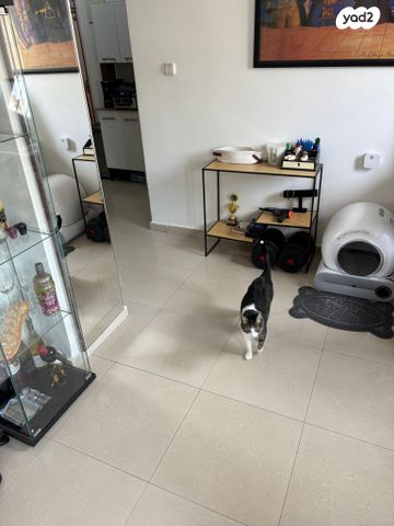 דירה, חיים וייצמן 1, א' / צפון מזרח העיר, רחובות