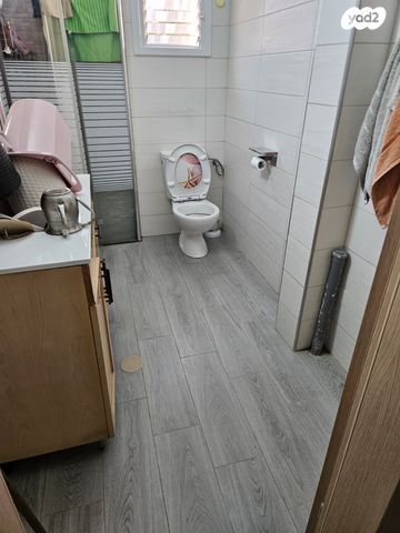 צבי בורנשטיין 531