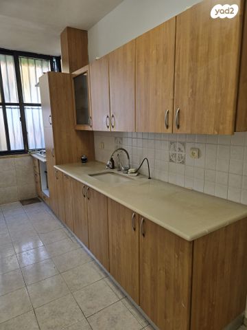 דבורה בארון 6