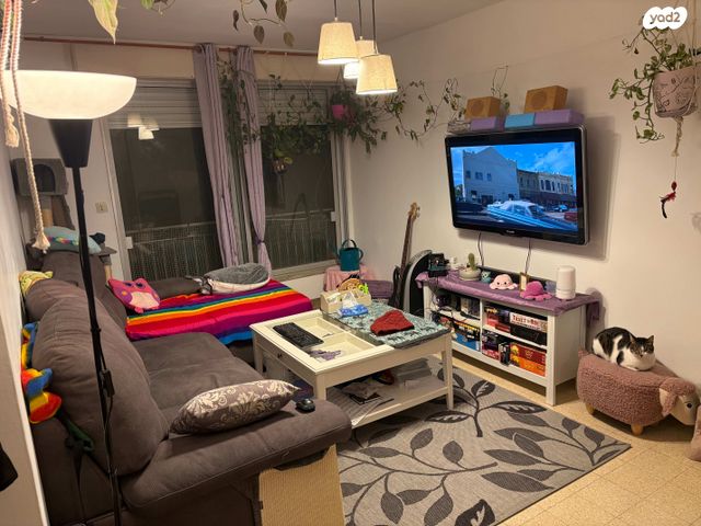 זלמן שניאור 38