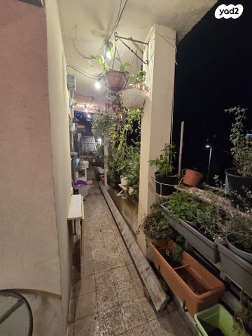 דירה, הסייפנים 3, הרצליה פיתוח, הרצליה