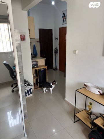 דירה, חיים וייצמן 1, א' / צפון מזרח העיר, רחובות