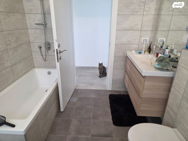 דירה, תל צבי 50, שיכון ממשלתי, פרדס חנה כרכור