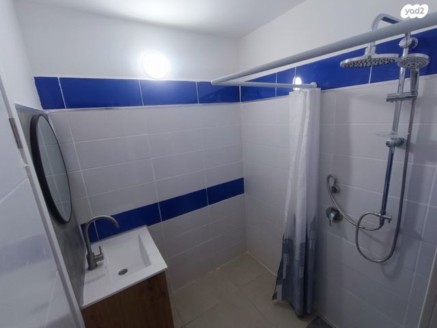 דו משפחתי, הנרקיס 2, עלי, עלי