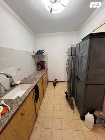 דירה, המצפה 6, בן דור, נשר