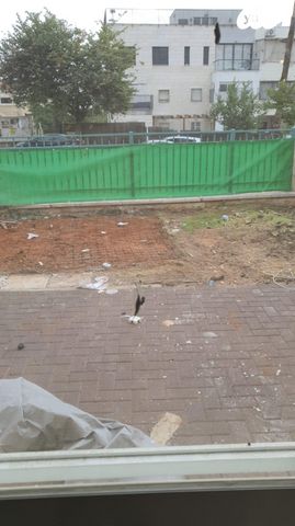 רבן יוחנן בן זכאי 29