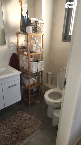 דירה, הגל 6, החותרים, טירת כרמל