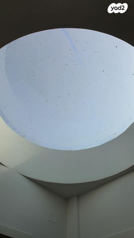 דירה, רימון 37, שורשים, שורשים