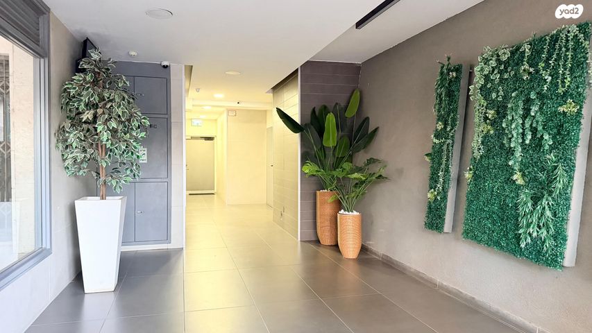 דירה, חזון אי"ש 17, רחובות הצעירה, רחובות