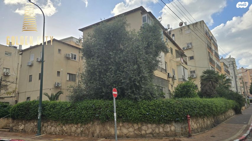 ברודצקי אשר 2