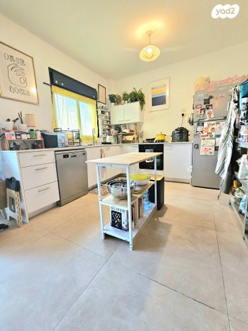 השופט ברנדייס 